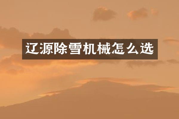 辽源除雪机械怎么选