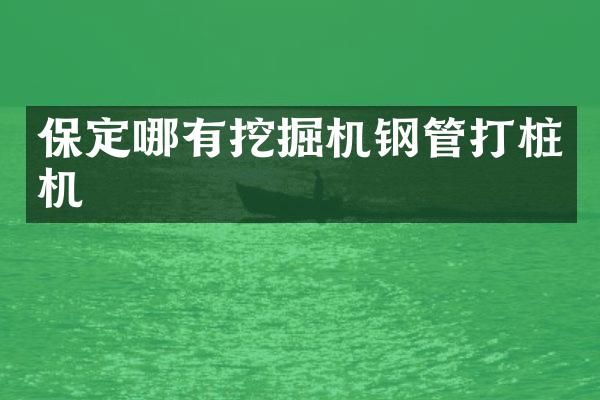保定哪有挖掘机钢管打桩机