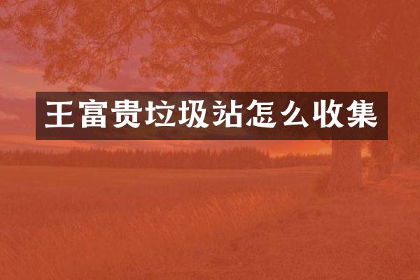 王富贵垃圾站怎么收集
