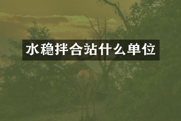 水稳拌合站什么单位