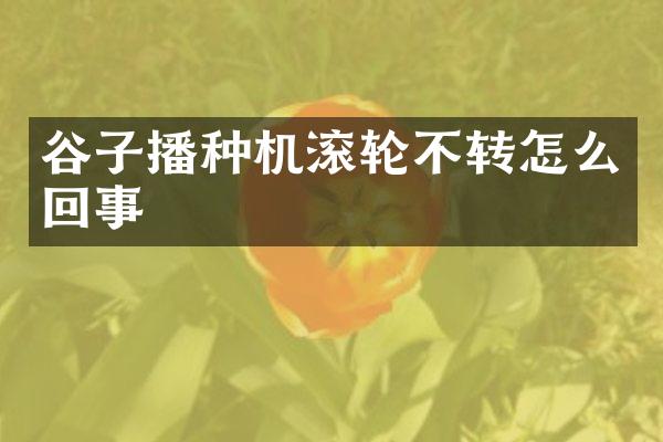 谷子播种机滚轮不转怎么回事
