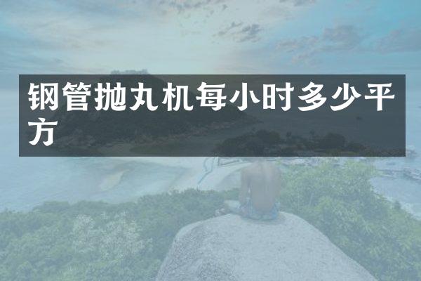 钢管抛丸机每小时多少平方