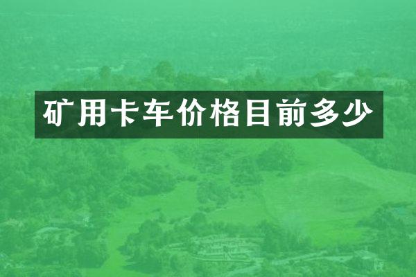 矿用卡车价格目前多少