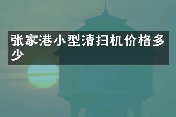 张家港小型清扫机价格多少