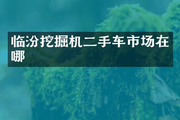 临汾挖掘机二手车市场在哪
