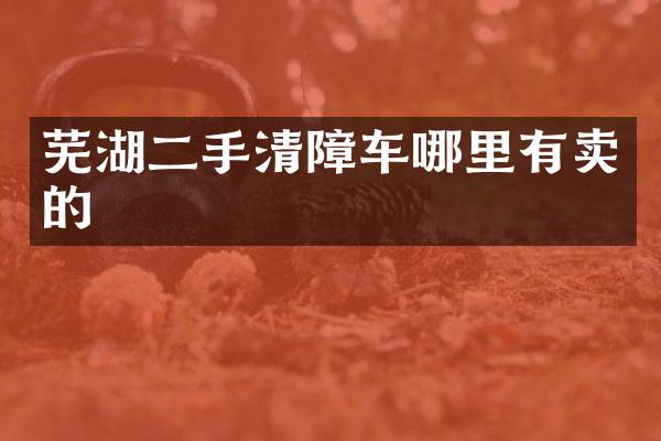 芜湖二手清障车哪里有卖的