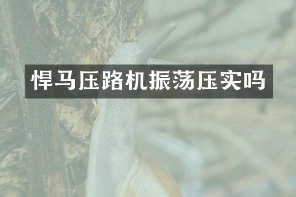 悍马压路机振荡压实吗