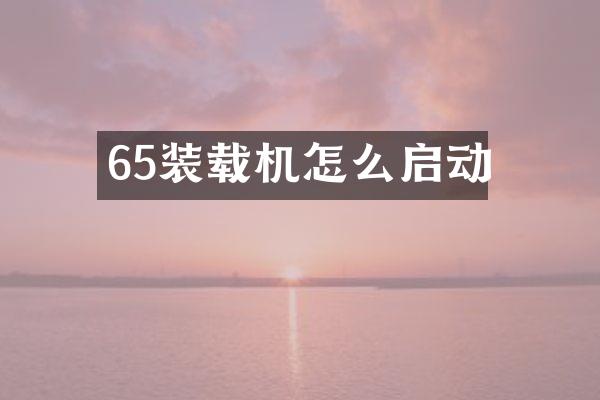 65装载机怎么启动