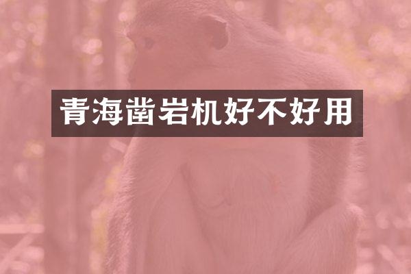 青海凿岩机好不好用