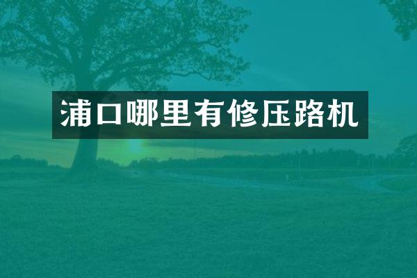 浦口哪里有修压路机