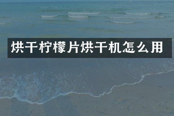 烘干柠檬片烘干机怎么用
