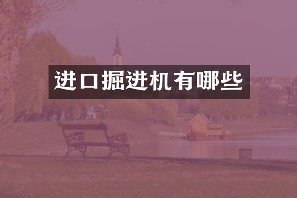 进口掘进机有哪些