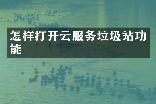怎样打开云服务垃圾站功能
