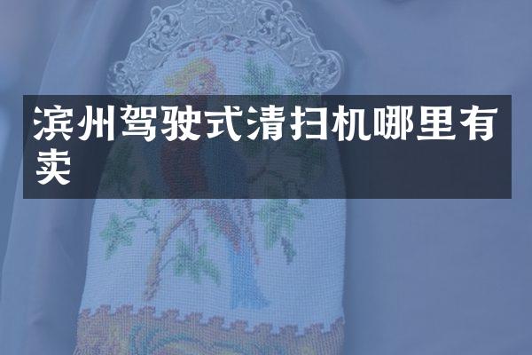 滨州驾驶式清扫机哪里有卖
