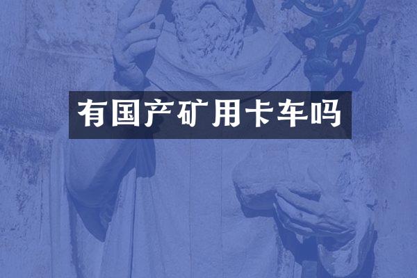 有国产矿用卡车吗