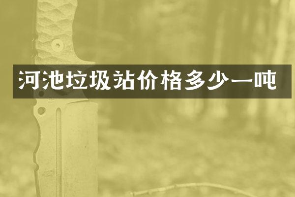 河池垃圾站价格多少一吨