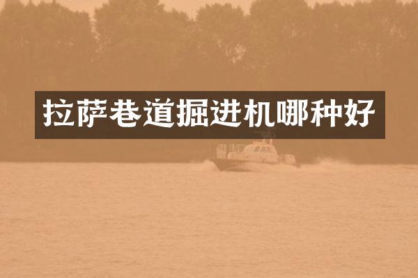 拉萨巷道掘进机哪种好