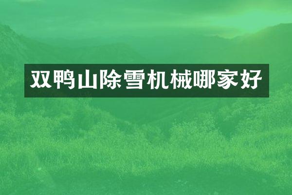 双鸭山除雪机械哪家好