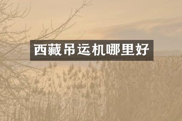 西藏吊运机哪里好