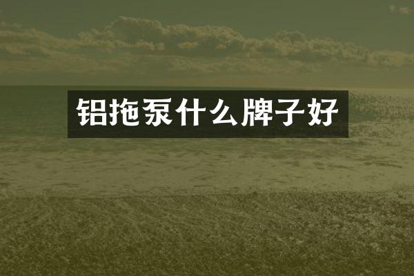 铝拖泵什么牌子好