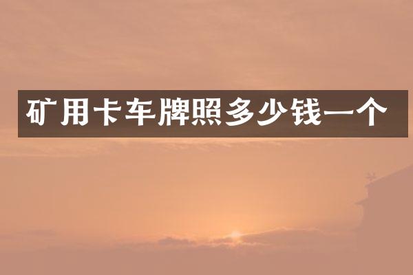 矿用卡车牌照多少钱一个