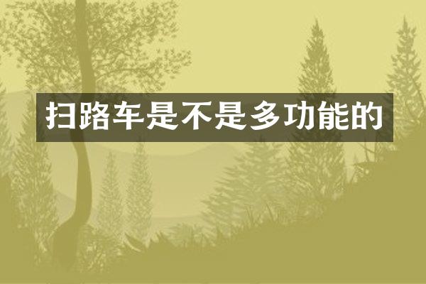 扫路车是不是多功能的