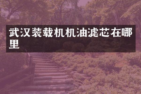 武汉装载机机油滤芯在哪里