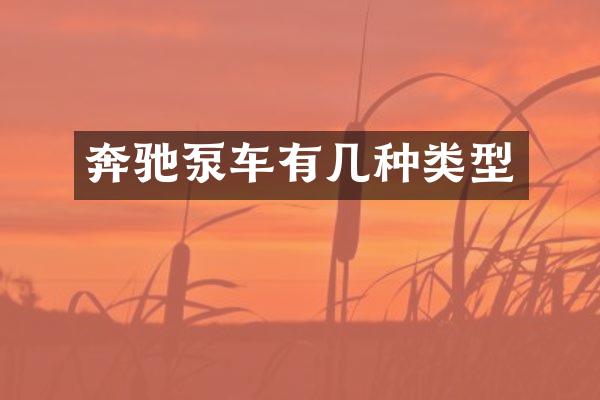 奔驰泵车有几种类型