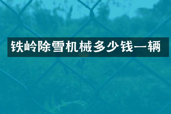 铁岭除雪机械多少钱一辆