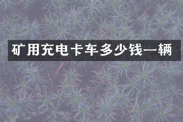 矿用充电卡车多少钱一辆