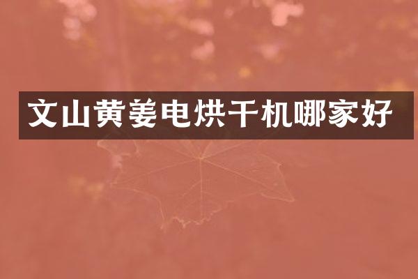文山黄姜电烘干机哪家好
