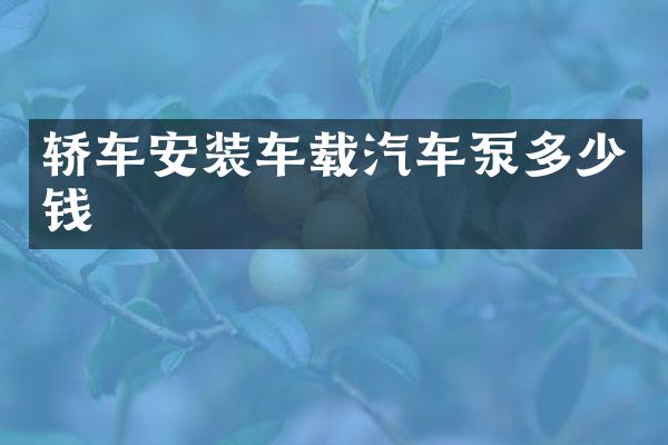 轿车安装车载汽车泵多少钱