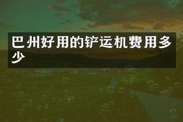 巴州好用的铲运机费用多少