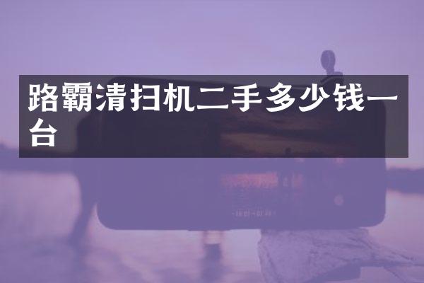 路霸清扫机二手多少钱一台