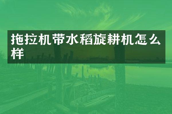 拖拉机带水稻旋耕机怎么样