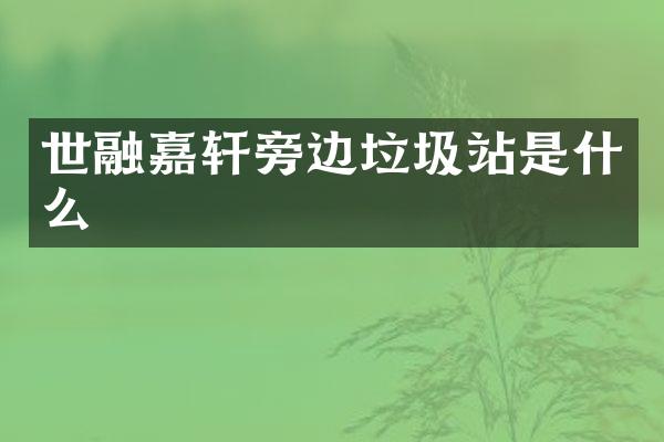 世融嘉轩旁边垃圾站是什么