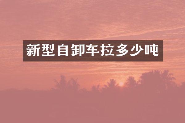 新型自卸车拉多少吨