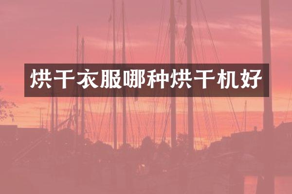 烘干衣服哪种烘干机好