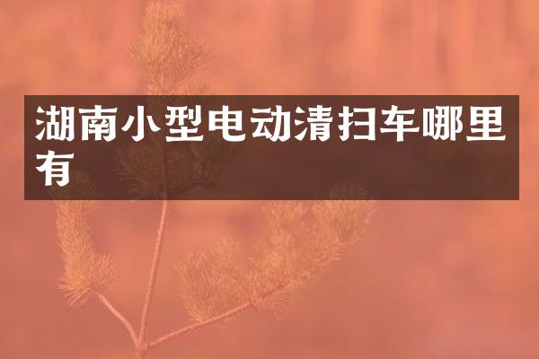 湖南小型电动清扫车哪里有