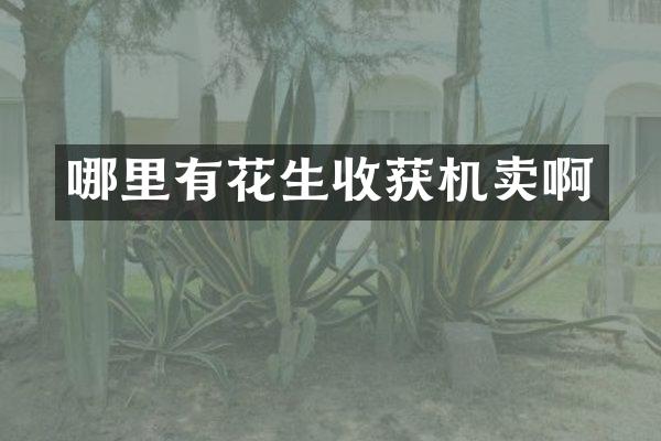 哪里有花生收获机卖啊