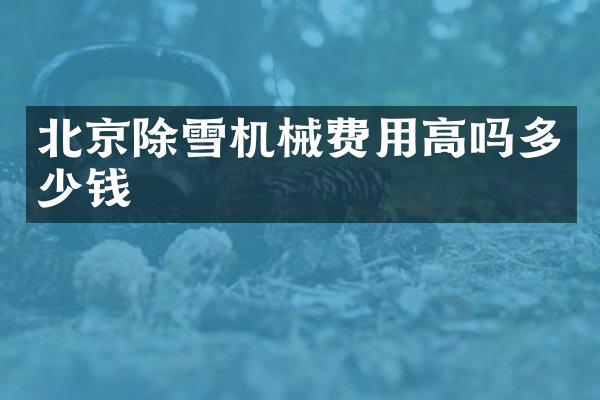 北京除雪机械费用高吗多少钱