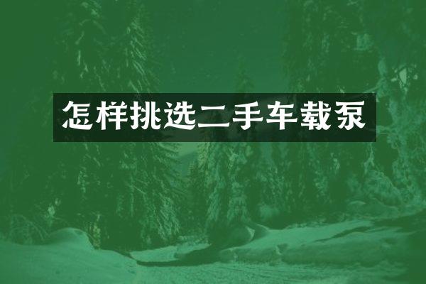 怎样挑选二手车载泵