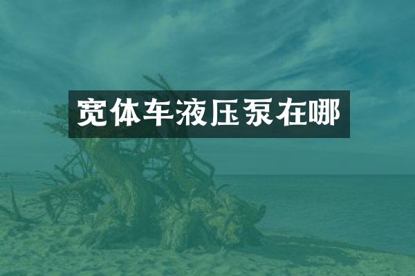 宽体车液压泵在哪