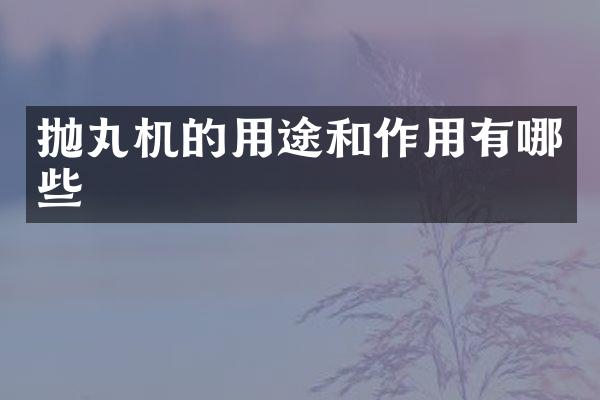 抛丸机的用途和作用有哪些
