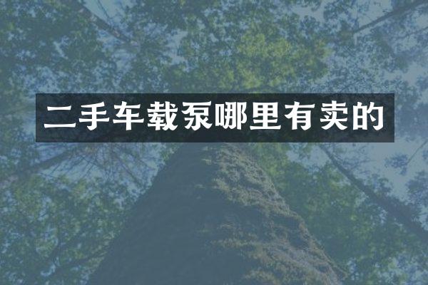 二手车载泵哪里有卖的