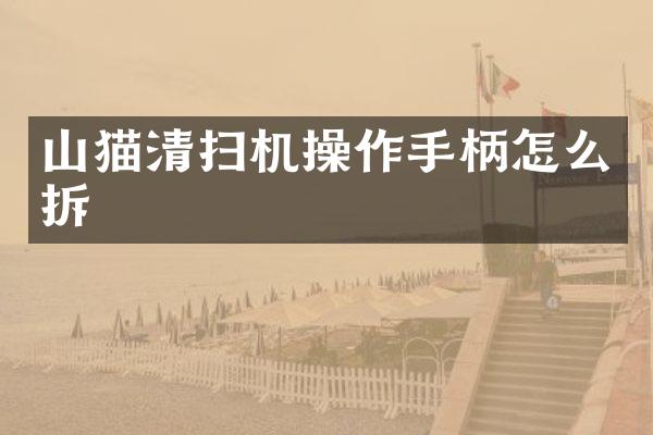 山猫清扫机操作手柄怎么拆
