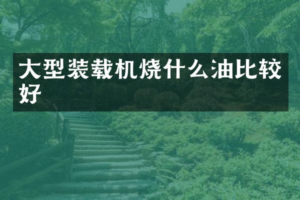 大型装载机烧什么油比较好
