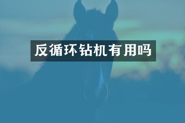 反循环钻机有用吗