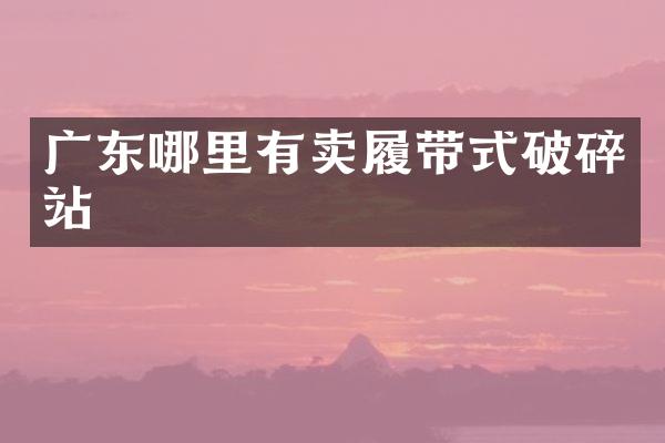 广东哪里有卖履带式破碎站