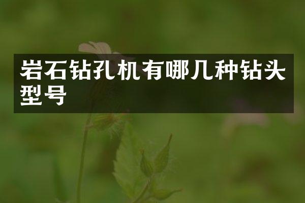 岩石钻孔机有哪几种钻头型号